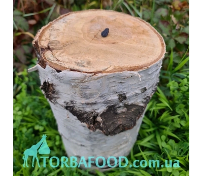 Чай фруктовый "Сказочное бревно с изюминкой", 1 кг