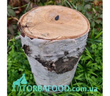 Чай фруктовый "Сказочное бревно с изюминкой", 1 кг Чай фруктовый "Сказочное бревно с изюминкой", 1 кг