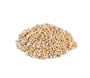 Горчица белая семена, 500 г