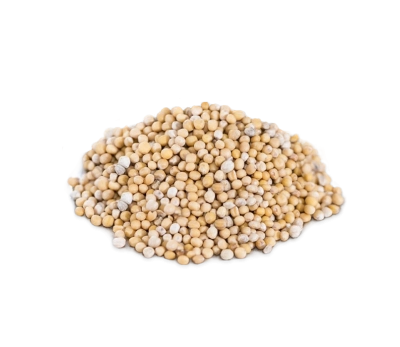 Гірчиця біла насіння, 500 г