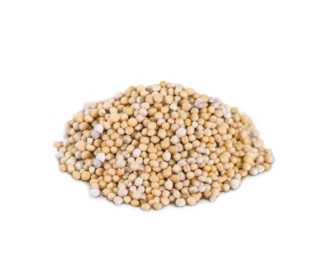 Горчица белая семена, 500 г