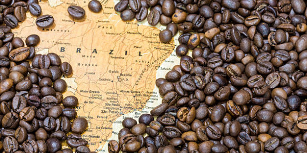Кофе из Бразилии: особенности, производство, лучшие виды и сорта