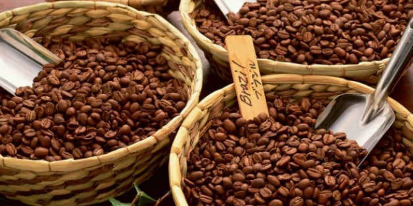 Как выбрать кофе в зернах