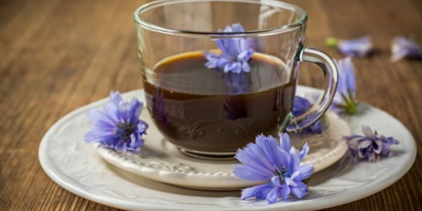 Как выбрать цикорий