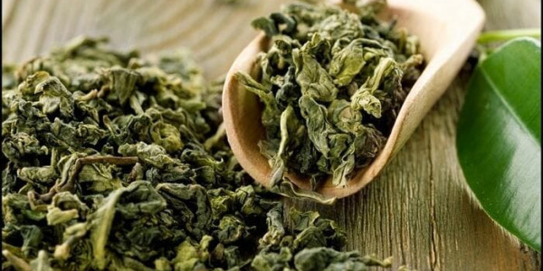 Как выбрать зеленый чай