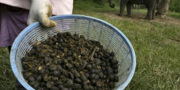 Самый дорогой кофе в мире - какой же ?