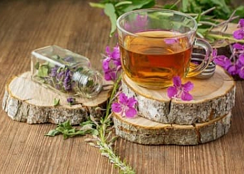 Иван-чай – трава, описание, полезные свойства