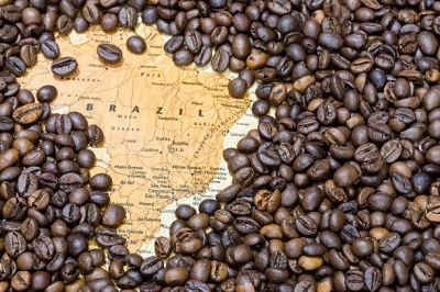 Кофе из Бразилии: особенности, производство, лучшие виды и сорта