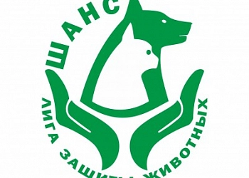 Подарите шанс братьям нашим меньшим