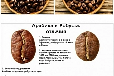 Арабика или робуста - в чем разница и что лучше ?