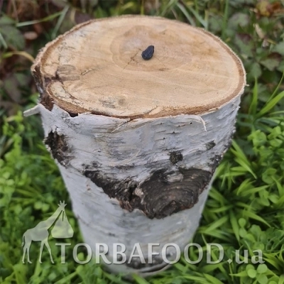 Сказочное бревно с изюминкой, 1 кг